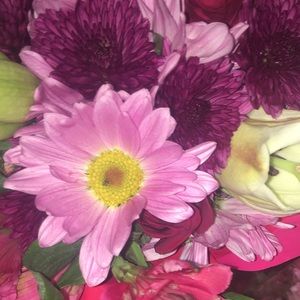 Meet your Posher, Dani